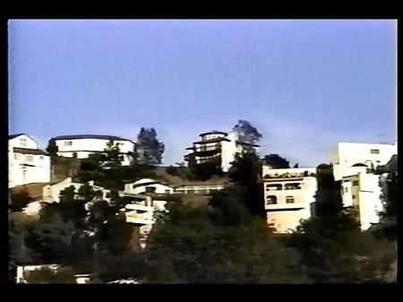 Diary Of A Perv (1995) Full Movie
