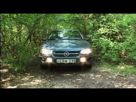 Arse Humping Donk Finger-tickling In The Woods