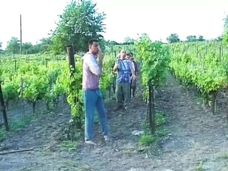 Short Haired Stunner From Germany Gets Gangbanged In The Backyard